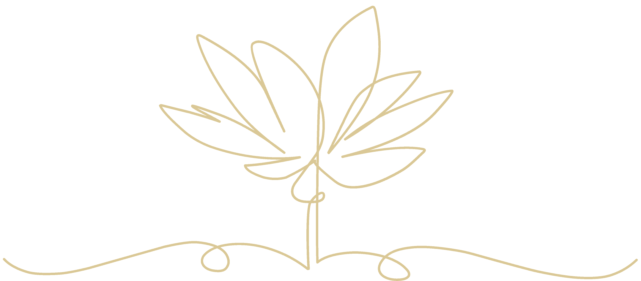 Hope And Sons Coroner